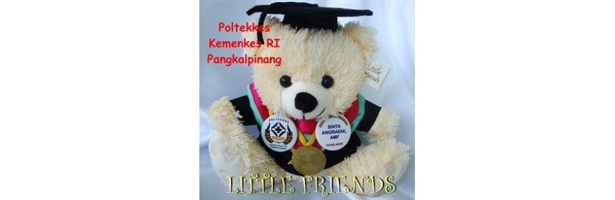 Boneka Wisuda Politeknik Kesehatan Kemenkes RI Pangkal Pinang